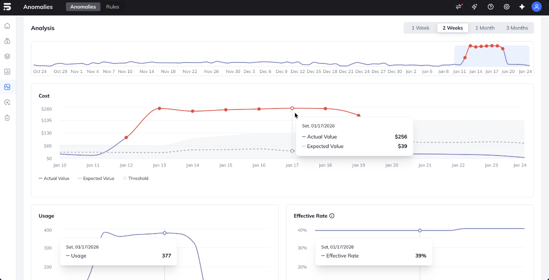 Anomaly detection analysis showing cost anomalies, usage patterns, and effective rate monitoring